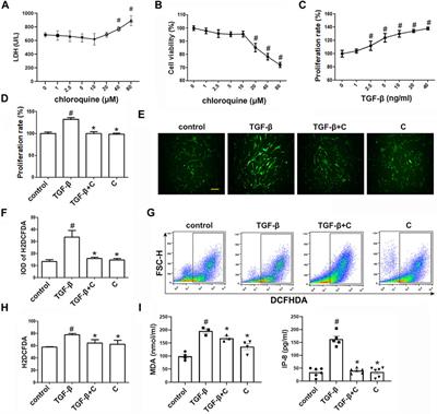 Chloroquine Attenuates Asthma Development by Restoring Airway Smooth Muscle Cell Phenotype Via the ROS-AKT Pathway